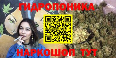 spice Анапа