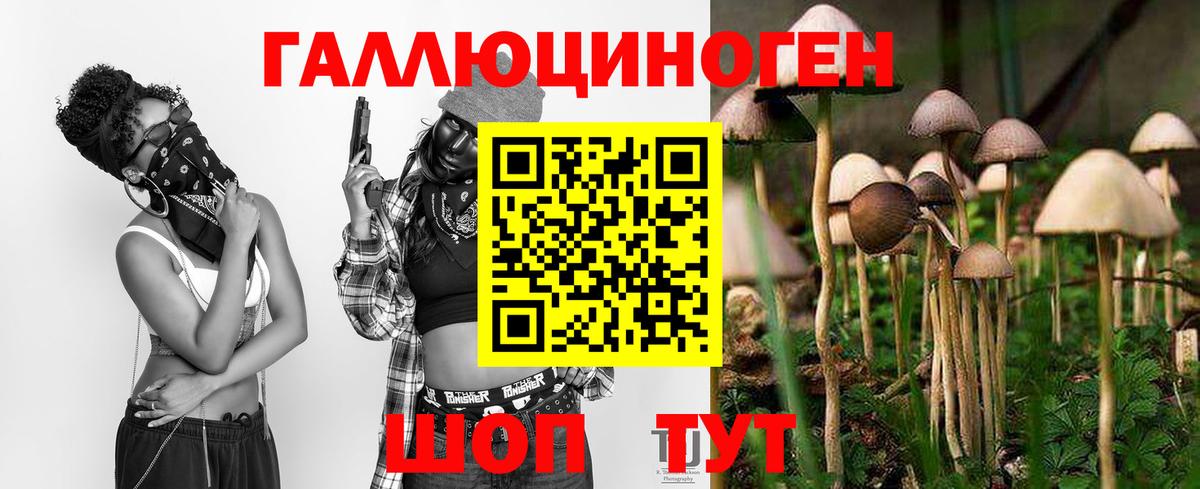Псилоцибиновые грибы Cubensis  Вход с VPN  Симферополь  Псилоцибиновые грибы мухоморы 